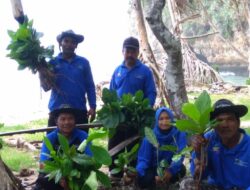 Sisir Pantai Bantol Malang, KSB Sebra Jaya Targetkan 140 Bibit Pohon Geben Untuk Tanam Bersama Di HARLAH Tagana Ke – 17