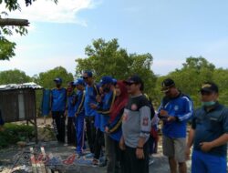 Antisipasi Gelombang Tinggi, Tagana Pasuruan, Sampang Siap Tanam Sejuta Mangrove