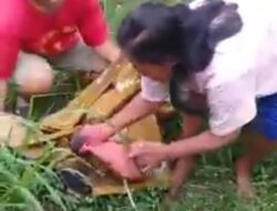 Viral Bayi Di Buang Di Pelemahan Kediri, Polisi Amankan Wanita 15 Tahun