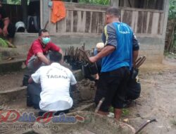 Ribuan Bibit Pohon Waru & Mangrove Disiapkan Tagana Trenggalek