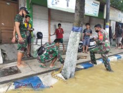 Ditengah Banjir Kabupaten Sampang, Warga dan Anggota Koramil Temukan Ular Piton