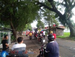 Antisipasi Pohon Tumbang Pasukan Oranye Pangkas Pohon Di Jalan Raya Walikukun