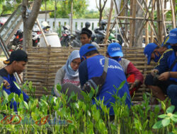 Gaet Jejaring Yang Ada, Tagana Gelar Beach Clean Up & Pembibitan 2000 Bibit Rizhophora Stylosa