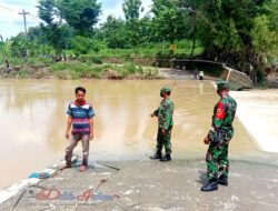 Curah Hujan Tinggi, Batiwanwil Nogosari Cek Kondisi Pleret