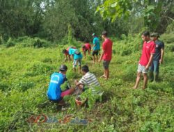 Tak Ingin Jadi Langganan Banjir, Tagana Rangkul KSB Dan Karang Taruna Tanam Pohon