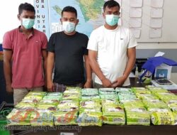 Kubur Narkoba Di Pinggir Tambak, BNN Ringkus 3 Orang