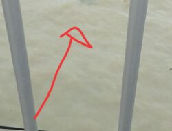 Geger Penemuan Mayat Mengapung Di Bawah Jembatan Suramadu