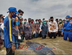 Tagana Dampingi Gubernur Jatim Lepas Ikan Paus Terdampar