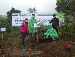 Hijaukan Gunung Ringgit, Yayasan Cempaka Gandeng  Perusahaan Tanam 5.100 Pohon