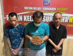 Petugas Lapas Medaeng Bongkar Penyelundupan Narkoba Dalam Bentuk Bumbu Pecel