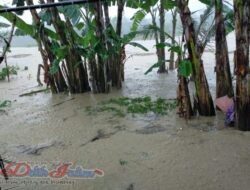Banjir Bojonegoro Setinggi Satu Meter, Tagana Dan KSB Gelar Pendataan