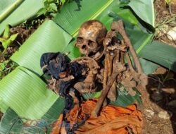 Pasca Longsor Petani Temukan Tengkorak Manusia, Tagana Bantu Identifikasi
