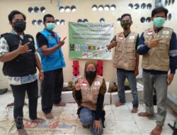 KMS Manfaatkan Pot Verti Untuk Bercocok Tanam di Lahan Sempit