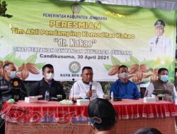 Peduli Petani Kakao, Bupati Tamba Launching ‘Dokter Kakao’