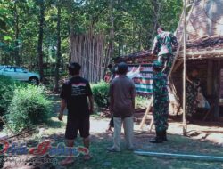 Percepat Pembangunan RTLH, Koramil 14/Jatisrono Kerahkan Anggotanya Laksanakan Karya Bakti