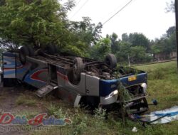 Dua Bus Dan Satu Truck Terlibat Kecelakaan Beruntun