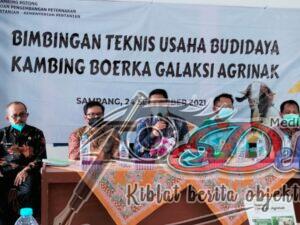 BIMTEK Usaha Budidaya Kambing Boerka Galaksi Agrinak dari Puslitbangnak – Puslitbangtan Kementerian Pertanian di Kantor BPP Kec. Banyuates