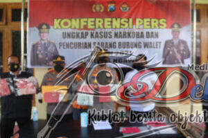 Tiga Pelaku Pencuri Sarang Burung Walet Keok Di Tangan Satreskrim Polres Ngawi