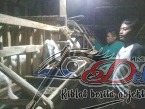 Pemuda Asal Desa Separah, Sukses di Usia Muda, Apa yang di Gelutinya?