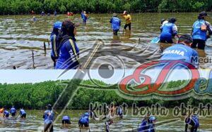 Cegah Erosi Abrasi dan Intrusi Air, Komunitas Peduli Lingkungan Tanam Ribuan Mangrove