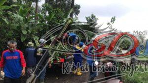 Kurangi Resiko Longsor dan Hijaukan Hutan, Tagana Batu Tanam Ratusan Pohon