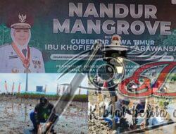 Antisipasi Rob Dan Abrasi, Pemprov Jatim Gandeng Pemkab Probolinggo Nandur Mangrove