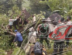 Satgas Tagana Kabupaten Situbondo Bersinergi Atasi Rumah Lansia Yang Tertindih Pohon