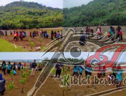 KSB Panji Nawangkung Dan Tagana Trenggalek Tancap Tanam 1100 Mangrove
