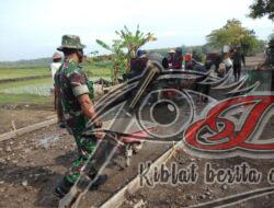 Babinsa Kaliwedi Bantu Pengecoran Jalan Wilayah Binaan