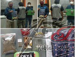 Amankan Ganja 33,31 Gram, Satresnarkoba Polrestabes Surabaya Amankan Seorang Bandar