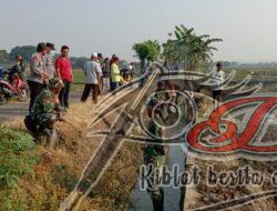 Gropyokan Tikus Gencar Dilakukan di Desa Tangkil, Bagaimana Caranya?