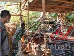 Cegah PMK, Babinsa Dampingi Petugas Vaksinasi Sapi