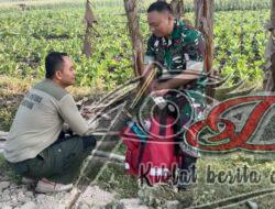 Peran Penting Tim Kesehatan Satgas TMMD Reguler Di Lapangan