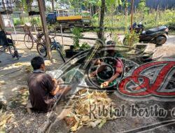 Babinsa Geneng Semangati Petani Jagung