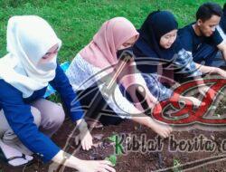 Kelompok Prodi Psikologi UTM & IPM Buluh Berinovasi Tanam Cabai Dan Tomat Dengan Sistem Tumpang Sari