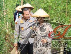 Kapolda Jatim HadiriPanen Raya dan Tanam Bibit Alpukat Bersama Forkopimda Ngawi
