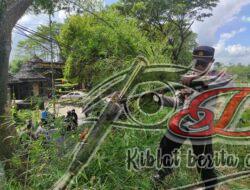 Polisi Bersama Dinas PU Jember Lakukan Pemangkasan Ranting Pohon, Tindaklanjuti Jumat Curhat