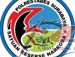 Tersangka Ngaku Sebagai Mami Di Ibiza, Faktanya Hanya Seorang Tamu Dan Edarkan Inek Di Larangan Surabaya