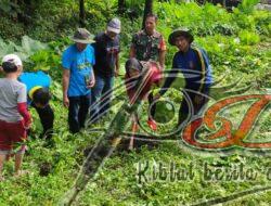 Pelihara Lestarinya Hutan Lindung, Komunitas Mahasiswa Dan Tagana Tanam Ribuan Pohon