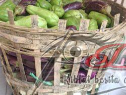 Pedagang Mangga Dua Donasikan Sayuran Segar kepada Rumah Pintar Matahari