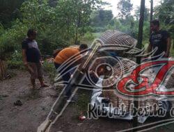 Polres Jombang Bongkar Perjudian Sabung Ayam, Dua Pelaku Ditangkap