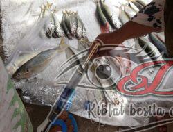 Cuaca Perairan Masalembu Tidak Stabil, Harga Ikan Melangit