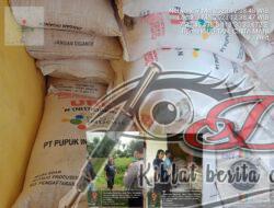 Ditemukan Timbunan Pupuk Bersubsidi Di Gudang KUD Di Duga Pemiliknya Seorang Anggota LSM