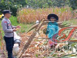 Bhatarling Polsek Karanganyar, Patroli Dialogis Dengan Petani