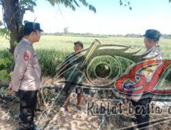 Bhatarling Polsek Karanganyar Patroli Dialogis Dengan Petani