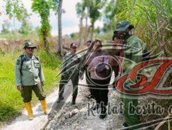 Peningkatan Perlindungan Hutan, Polsek Karanganyar Patroli di Kawasan Hutan BKPH Pandean