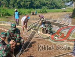 Permudah Angkut Hasil Tani, Babinsa Koramil Mojosongo Bantu Betonisasi Jalan Pertanian