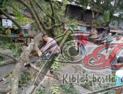 Polisi Cepat Tanggap, Akses Jalan di Kandat Kediri Kembali Normal