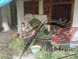 Dorong Motivasi dan Semangat Masyarakat, Babinsa Komsos dengan Petani Kacang Tanah