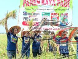 Panen Raya Di Sawah Pak Bandi Kauman Widodaren Sangat Lah Memuaskan